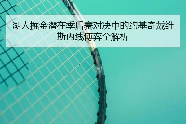 湖人掘金潜在季后赛对决中的约基奇戴维斯内线博弈全解析