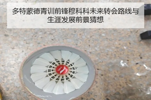 多特蒙德青训前锋穆科科未来转会路线与生涯发展前景猜想